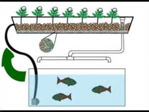 About Us post thumbnail image